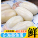 品質(zhì)好舟山特產(chǎn)墨魚(yú)蛋帶膏東海大白蛋個(gè)大烏賊蛋日期新鮮目魚(yú)蛋 免清理大白蛋 250g(凈重)