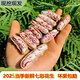 2025年云南現(xiàn)挖新鮮七彩牛奶濕花生 富硒黑花生生鮮 [現(xiàn)挖帶泥]新鮮七彩花生 5斤 現(xiàn)挖新鮮花生