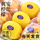 四川安岳黃檸檬9斤新鮮水果當(dāng)季現(xiàn)摘皮薄一級香水檸檬塔希提青檸M 9斤【新鮮現(xiàn)摘】
