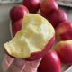 阿克蘇蘋果;AKSU；AKESU APPLE正宗阿克蘇魯麗嘎啦蘋果【順豐】紅旗坡新鮮時令紅富士蘋果園直發(fā) 阿克蘇魯麗蘋果5斤【75-85】脆甜