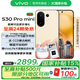 vivo S30 Pro mini 【國家補(bǔ)貼】 6.31 英寸多彩小直屏 6500mAh 小屏續(xù)航戰(zhàn)神新品AI手機(jī) 檸檬黃 12GB+256GB vivo TWS4 耳機(jī)套餐