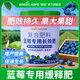 綠盼藍莓肥料專(zhuān)用復合緩釋硫酸鉀家用種植有機果樹(shù)盆栽促生長(cháng)催花座果