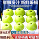 江橙汁戀碭山青皮梨翠冠梨子新鮮水果當(dāng)季現(xiàn)摘脆甜梨子 3斤裝【單果200克+】
