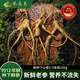 水長東新鮮林下山參2-3支裝100g禮盒12年長白山人參現(xiàn)挖源頭直發(fā)包郵