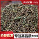 百華源山蜜草 山密草 別名：長(cháng)壽草仙密草冰糖草非茶包 100g