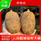 京地達云南特產(chǎn)新鮮昭通天麻凈重2斤裝非干貨整根煲湯食材蔬菜源頭直發(fā)