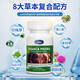 Ludsi優(yōu)石寶石康寶石解寶新西蘭lu去石寶素小溶瓶?jī)敉ㄊ`寶寧 石康寶1瓶體驗(yàn)裝