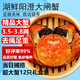 【活蟹】湖鮮陽澄 大閘蟹 去繩足重 3.5-3.8兩 12只 鮮活六月黃現(xiàn)貨超大螃蟹海鮮禮盒裝