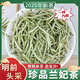 踏雪蘭妃2025新茶【金獎(jiǎng)茶】明前單芽濃香型茉莉九窨耐泡嫩芽罐裝 零添加  全網(wǎng)低價(jià) 普通大葉子茉莉30··克【變黑了】