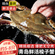 【鮮活發(fā)貨】青島梭子蟹新鮮海捕上岸鮮活大螃蟹飛蟹母蟹生鮮蟹類(lèi) 【鮮活發(fā)】精品梭子蟹2斤5-8只