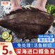 朵芙鰈魚(yú)超大凈5斤裝 免處理鰈魚(yú)身比目魚(yú) 鰈魚(yú)段冷凍鴉片魚(yú)海魚(yú)魚(yú)類(lèi) 鰈魚(yú)身 500g *5條