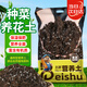 北蔬 營養(yǎng)土種菜養(yǎng)花多肉花卉專用泥土泥炭盆栽種植有機基質土壤 10L
