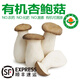 【有機】香菇 新鮮現采雞腿菇 火鍋炒菜煲湯百搭食材菌菇組合蔬菜 【有機杏鮑菇】200g/盒*3份