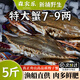 舟山梭子蟹鮮活特大野生大螃蟹新鮮冷凍海鮮水產(chǎn)海蟹飛蟹白蟹順豐 7-9兩/只【5斤 特大當(dāng)季船供】