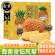 橙小士海南金鉆鳳梨當(dāng)季時(shí)令手撕無眼菠蘿樹上熟新鮮水果熱帶禮盒整箱 5斤精選【2-3個(gè)】品質(zhì)升級(jí)