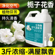 家可美（jiakemei）生物酶空氣清新劑老人房除臭劑室內(nèi)臥室客廳異味反味強效除味留香 空氣清新劑 1500ml 1瓶 【送噴壺】