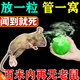 戶清老鼠特效藥三步到一聞就死強(qiáng)力樟腦丸家用防驅(qū)鼠神器一窩端驅(qū)鼠丸 10粒裝無優(yōu)惠不劃算