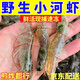 新鮮小河蝦鮮活冷凍新鮮野生青蝦湖蝦水產(chǎn)小草蝦青蝦商用冷鏈 2盒裝340- 400克(凈重)  大號【 活蝦急凍】