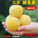 漢源桃花李新鮮脆甜大果正宗純甜冰糖李桃花李新鮮水果四川蜂糖李 3斤裝 特大果【單果50g以上】
