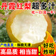 【頭茬鮮果】當季丹霞紅梨新鮮水果脆甜多汁精品高端禮盒整箱水果 優(yōu)選精品【10斤帶箱】/大果