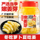 云山半泡姜芽1kg大罐裝 糖醋味泡仔姜嫩姜即食泡菜醬腌菜下飯菜