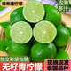 翠鮮令海南塔希提無籽香水青檸檬 新鮮采摘 榨汁鮮果 產(chǎn)地源頭直發(fā) 凈重1斤