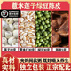 北京同仁堂央媽同款粥薏米蓮子綠豆陳皮大米中藥材煮粥喝即好喝又養(yǎng) 85克x1包正宗配比