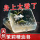 骉祥茉莉花精油皂洗臉皂補(bǔ)水保濕洗澡深層清潔全身持久留香手工皂z 茉莉香 持久留香【2塊】