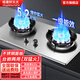 姳妻好太太煤氣灶雙灶家用灶具燃?xì)庠铍p灶天然氣燃?xì)庠疃〞r(shí)液化氣灶猛火燃?xì)庠畈讳P鋼燃?xì)庠钆_(tái)式灶嵌入式爐具 TT623G【中配】不銹鋼面板+雙猛火+防風(fēng)爐架 瓶裝液化氣（20Y）