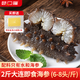 頤口福即食海參鮮食海參營(yíng)養滋補海鮮特產(chǎn)禮盒送禮大頭即食海參2斤（8-12頭/斤）