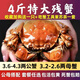 【活蟹/殘蟹】4斤10-11只固城湖大閘蟹斷腿掉腳公蟹母蟹 飛飛推薦 B 公母搭配 10只左右 3.5斤