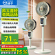 揚(yáng)子電風(fēng)扇空氣循環(huán)扇落地家用臥室客廳宿舍臺(tái)式桌面電扇 遙控款-自動(dòng)左右搖頭