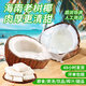 悅己海南特產(chǎn) 老椰子煲湯當(dāng)季水果新鮮毛椰子熱帶生鮮椰子蛋椰果榨汁 3個(gè)裝老椰子（約4.5-6斤）