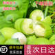 沃江源【加冰順豐發(fā)貨】湖北洪湖新鮮嫩蓮子生吃水果蓮子鮮甜蓮米現(xiàn)采摘 3斤裝