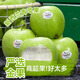 優(yōu)味集蘋(píng)果水果【JD順豐速發(fā)】新西蘭青蘋(píng)果進(jìn)口酸脆甜孕婦新鮮整箱送禮 10枚裝（80%選擇-超劃算） 商超A+級大果150g+