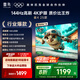 TCL雷鳥電視 55雀4 55英寸 144Hz高刷 2+32GB 護(hù)眼模式 自定義遙控器 家電國家補(bǔ)貼電視55F270C-JN 55英寸 平板電視