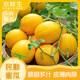京鮮生 民勤蜜瓜 凈重4-5斤 1-2粒 生鮮水果 源頭直發(fā)