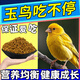 玉鳥專用糧靚羽長(zhǎng)肉增膘抗病防挑食鸚鵡金絲雀畫眉鳥通用營(yíng)養(yǎng)飼料 365ml 1罐 【面包蟲小零食】