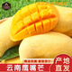 傾睦云南鷹嘴芒甜心芒尖嘴尖芒果當季熱帶時令現(xiàn)摘現(xiàn)采現(xiàn)發(fā)的新鮮水果 8.5斤 （大果250g+）
