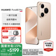 HUAWEI Pura 80 Pro 國家補(bǔ)貼 新品旗艦華為手機(jī) p80pro 一英寸主攝拍照 AI輔助構(gòu)圖 華為鴻蒙智能手機(jī) 釉金 12GB+512GB 官方標(biāo)配
