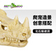 REPTIZOO瑞皮爬寵躲避鱷魚頭骨守宮飼養(yǎng)造景樹脂裝飾仿真 鱷魚躲避洞【小號】