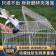 新款自動翻轉(zhuǎn)籠只進不出鳥籠天落籠加粗加密捕捉籠鴿籠養(yǎng)殖場專用 升級加密款白色  長46寬35高66