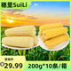 禾久黃糯玉米白糯玉米4斤（200g*10根）真空包裝低脂早餐【抖音同款】 【爆款熱銷(xiāo)】黃糯玉米10條
