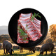 ZOOLII 伊比利亞黑豬肋排精肋 1kg 豬肋條烤肉燒烤紅燒食材 豬肉生鮮