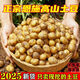 正宗恩施富硒黃心小土豆新鮮迷你高山現挖馬爾科小個(gè)土豆馬鈴薯 雞蛋大小/中果 5斤