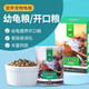 育歸保育繁育龜糧幼龜亞成成龜開口飼料烏龜飼料半水龜糧黃緣龜糧 保育開口糧50g (適合3cm左右龜苗)