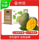 京覓四川攀枝花凱特芒新鮮芒果4.5斤裝單果400g+源頭直發(fā)包郵