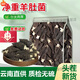 羊肚菌500克干貨野生特級(jí)胖東來(lái)品質(zhì)羊肚菌鮮香菇干貨煲湯食材 【精選1包】16-17根+不買陳貨 羊肚菌干貨