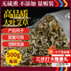 御道蘄艾葉500g精選艾草泡腳藥包足浴粉包艾葉泡腳泡澡月子洗頭發(fā)汗