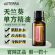 多特瑞天竺葵單方精油15ml肌膚補(bǔ)水改善膚色身體護(hù)理doterra旗艦正品 天竺葵（身體護(hù)理） 15ML